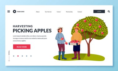 Fall harvesting and agriculture farming concept. Happy young man and woman picking ripe red apples into basket in fruit garden. Vector flat cartoon people characters illustration