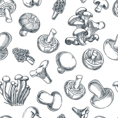 Mantarlar siyah, beyaz, pürüzsüz desen. Çizim vektör çizimi. El çizimi sonbahar arkaplanı. Paket kağıdı veya tekstil baskı tasarımı