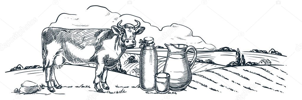 Milk farm and fresh dairy products, hand drawn sketch vector vintage illustration. Cow, bottle and glass jug with milk on countryside fields landscape background
