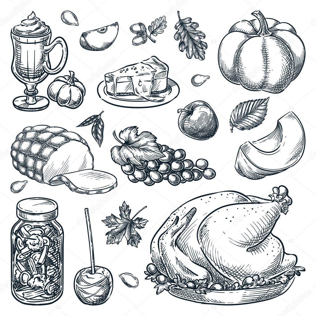 Thanksgiving menu design elements on white background. Traditional holiday home made meal. Roasted turkey, pickled vegetables, caramel apple, pumpkin, ham. Vector hand drawn sketch illustration