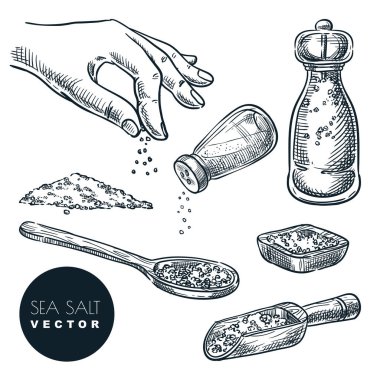 Sea salt sketch vector illustration isolated on white background. Natural ingredient, seasoning spice. Hand drawn design elements. clipart