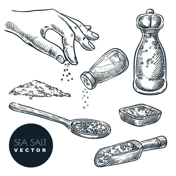 白を基調とした海塩スケッチベクターイラスト 天然成分 調味料スパイス 手描きのデザイン要素 — ストックベクタ