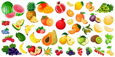 Taze tropikal meyve seti. Vektör böğürtlen çizimi. Sağlıklı vejetaryen yiyecekler, tarım ve hasat tasarım elementleri. Elma, muz, portakal, çilek, yabanmersini, ahududu ikonu