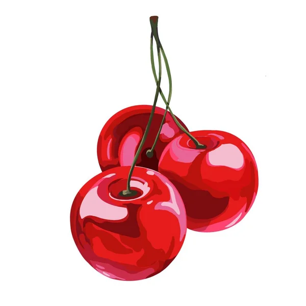 Hand drawn cherry. White isolated stock illustration. — Stock Photo, Image