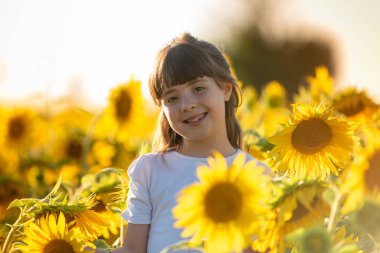 Eylül 2020, Bibbiano, İtalya. Ayçiçeği tarlasında tatlı küçük kız