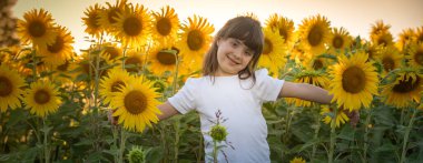 Eylül 2020, Bibbiano, İtalya. Ayçiçeği tarlasında tatlı küçük kız