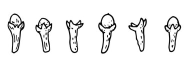 Kuru karanfil ve karanfilin renkli çizimi. Bitkiler, baharatlar, tohumlar, baharatlar. Karanfil çizimi, beyaz arka planda izole edilmiş siyah çizgileri olan basit bir karalama setidir..