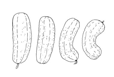 Doğal sebze mini seti. Klasik el çizimi taslak vektör çizimi. Çizgi grafikleri salatalık,