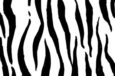 Zebra deseninin vektör çizimi. Bir Zebra deseninin vektör çizimi, elle çizilmiş beyaz arkaplanda siyah eğimli dikey düzensiz çizgiler