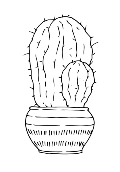 벡터는 손으로 선인장들을 화단에 배열하였다 손으로 귀여운 선인장 자국에는 배경에 — 스톡 벡터