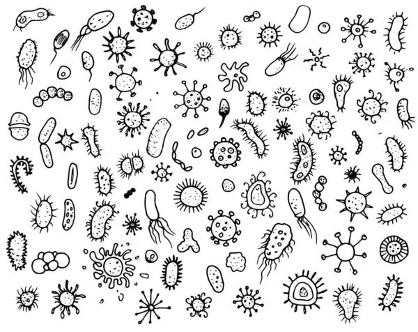 Bacteria and microbes, pathogenic micro-organisms, various types of bacteria, background viruses. vector set of hand-drawn black outline in the style of Doodle Bacteria, microbes and viruses — Archivo Imágenes Vectoriales