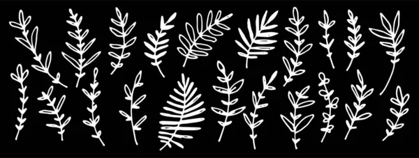 Набор лиственных ветвей, нарисованных вручную. Векторная ручная иллюстрация в простом мультяшном стиле Doodle для открыток и текстиля. Изолированные объекты с белым контуром на черном фоне для — стоковый вектор