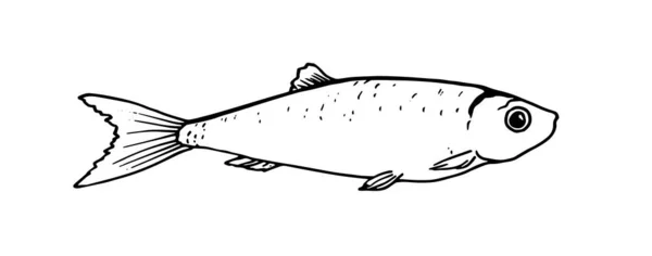 Doğrusal Sanat Tarzında Çizilmiş Küçük Balığın Grafiği Deniz Ürünleri Menüsünde — Stok Vektör