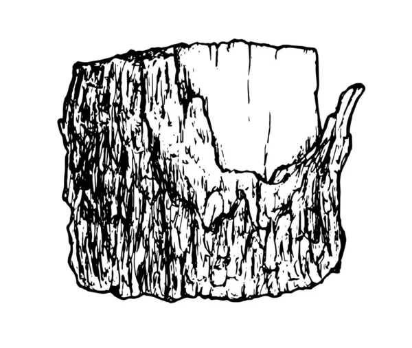 Realistisk modell av en trästubbe. Kollektion i stil med realism, svart linje ritad av trä skärning på en vit bakgrund. Illustration av en sprucken riven naturlig ek björk bit av trä. — Stock vektor