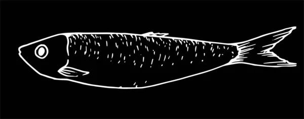 Gráficos vectoriales de peces estilizados con textura de puntos en la parte posterior, elemento para su diseño. dibujo de un pequeño espadín dibujado en el estilo del arte lineal Doodle. El menú de mariscos incluye sardinas y espadines — Vector de stock
