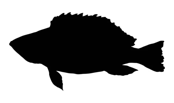 シルエットパーチ魚 任意の目的のための素晴らしいデザイン デザイン要素 フードロゴ白を基調とした黒のシルエットのパーチ魚のヴィンテージクローズアップ イラストアイコン 絶縁ベクトルアイコン シルエット ベクトル ベクトル背景 白地だ — ストックベクタ