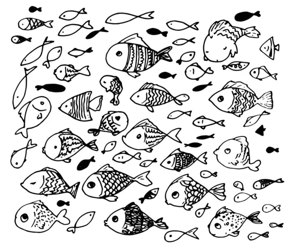 一组矢量风格的鱼，头部圆形，白色背景上有黑线图案，向不同方向游动。一套水族馆的鱼和人物形象，手工制作 — 图库矢量图片