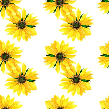 Beyaz bir arka planda izole edilmiş yarı sarı, olgun bir ayçiçeğinin dikey olarak suluboya sarı ayçiçeği deseni. Beyaz arka planda üst üste istiflenmiş basit bir suluboya sarı ayçiçeği deseni. Tasarım temposu için basit yaz arkaplanı
