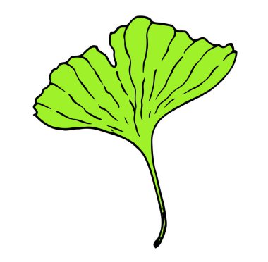 Tasarım şablonu için beyaz arka planda parlak yeşil renkli ginko biloba yaprağı siyah çizgisinin vektör izole elemanı. Paketleme etiketleri için ginko biloba tıbbi ağaç yaprağı