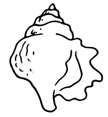 Beyaz arkaplanda Doodle simgesi. Çizgi film vektör çizimi. Soyut arkaplan. Vektör çizimi. Doğa arka plan vektörü. Klasik doğa illüstrasyonu. Şirin illüstrasyon. Vektör izole edilmiş deniz kabuğu elementi spiral üst dokusu ile