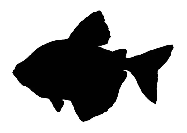 착색제 사진이다 Vector Linear Fish 디자인 수족관 물고기 선이다 손그리기 — 스톡 벡터