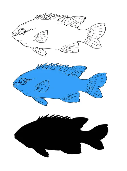 黒を背景に熱帯魚をセット青のスケッチとヴィンテージ漫画のアイコン カラフルな背景 ヴィンテージプリント 海洋熱帯魚のシルエット 黒アウトラインと青の色のイメージの隔離された要素のベクトルセット 手描きのクリスピテラシアネアスケット — ストックベクタ