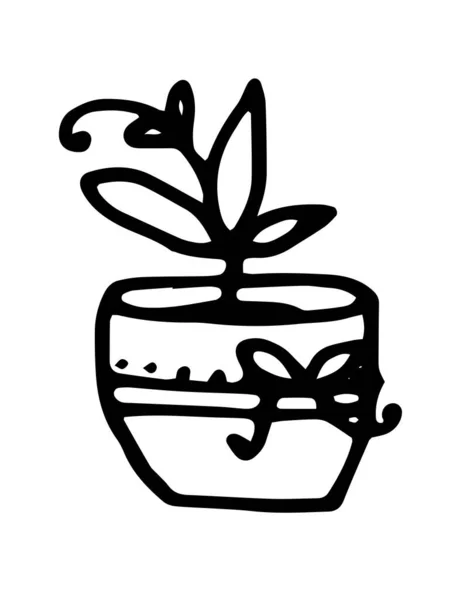 Moderne Handgezeichnete Karte Mit Schwarzem Doodle Twig Curl Pot Auf — Stockvektor