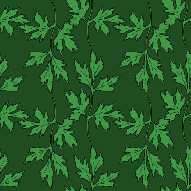 Yeşil arka planda el çizimi. Çiçek arkaplan. Kusursuz desen. El çizimi illüstrasyon. Daha koyu yeşil bir arka planda siyah çizgili taze yeşil maydanozun dikleşmemiş deseni. Taslak şeklinde elle çizilmiş maydanoz filizi