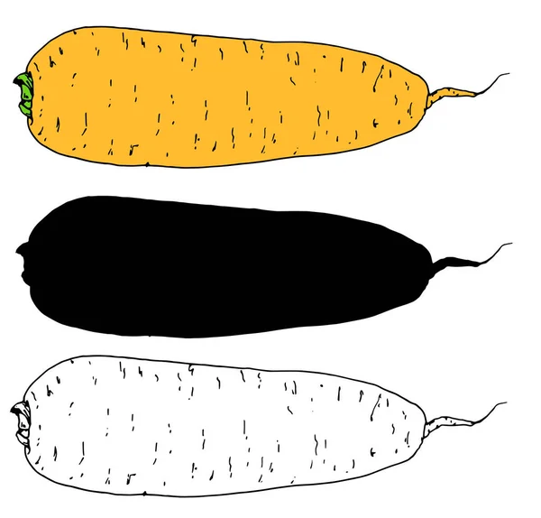 Dibujos Animados Sobre Fondo Amarillo Impresión Vintage Vector Zanahorias Anaranjadas — Vector de stock