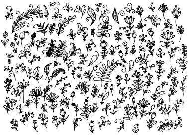 Yapraklar, böğürtlenler ve çiçeklerle karalamalar şeklinde elle çizilmiş izole elementlerden oluşan bir vektör kümesi. Yapraklı ve böğürtlenli bitki dokusu. Beyaz üzerine siyah çizgili.