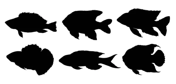 Vector Set Silhouettes Black Fish Different Shapes Drawn Hand Isolated — Stock Vector