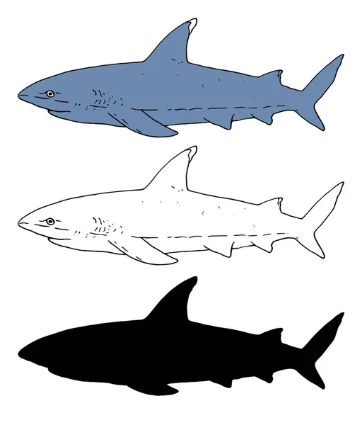 鲨鱼素描 鲨鱼手绘黑色轮廓和轮廓的向量集 以及菜单设计模板 标志标志标识等白色背景上的灰色图画侧视图鲨鱼素描集 适用于任何设计 — 图库矢量图片