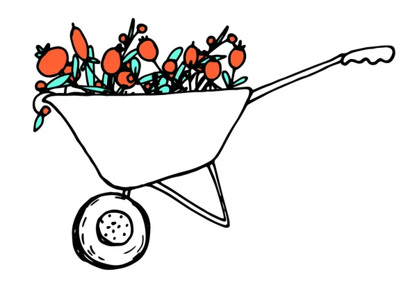 Doodle Closeup Doodle Wheelbarrow Red Berries Red Background Primavera Ilustração — Vetor de Stock