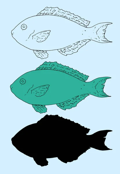 Redtail Parrotfish Sketch Sea Fish Retail Parrotfish 手描きの小売エメラルド色のParrotfish側のビュー メニューデザインテンプレートのための青の背景のアイソレーション輪郭とシルエット ラベル — ストックベクタ