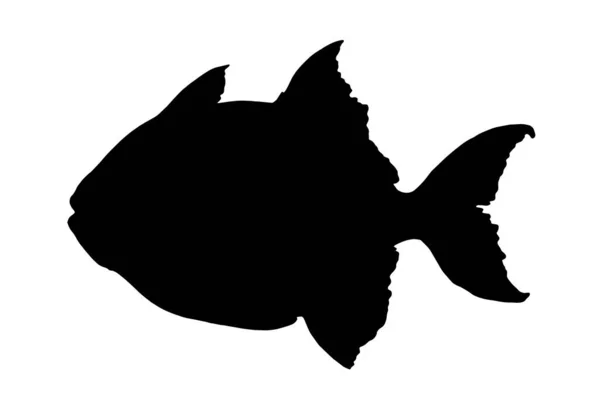 Vector Geïsoleerde Vis Elementen Greg Triggerfish Zwart Silhouet Met Hand — Stockvector