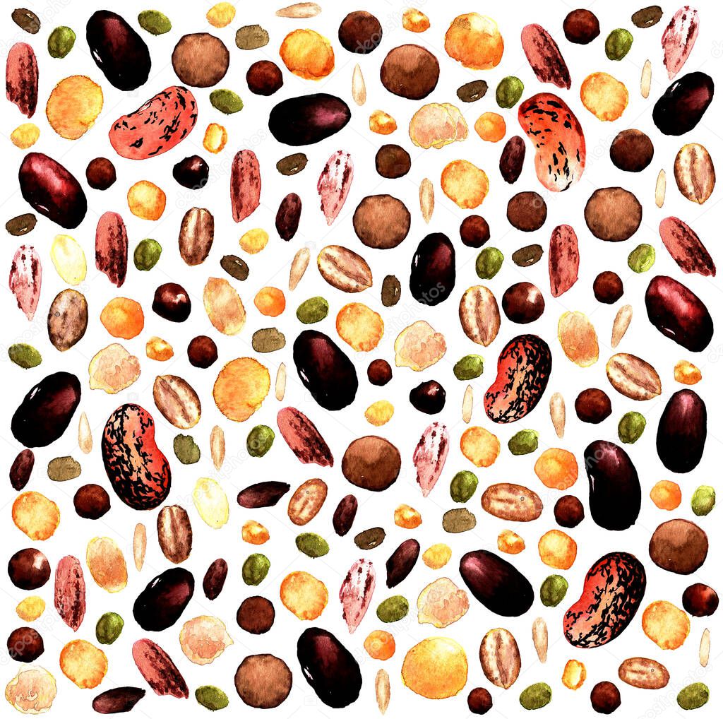 Watercolor pattern of frequently arranged edible seeds, red beans, oatmeal, beans, lentils, chickpeas and rice on a white background for a vegan design template