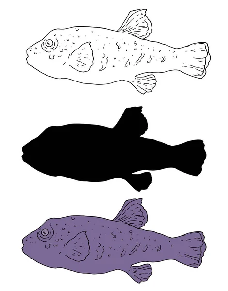从黑色的轮廓 轮廓和紫色的图像中分离出一组孤立的淡水鱼矢量元素 手绘素描风格的热带鱼四头鱼标志菜单设计模板 — 图库矢量图片