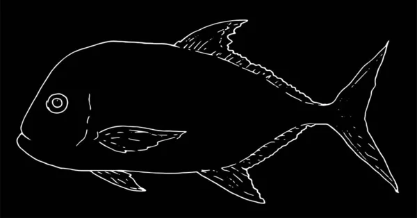 Illustration Dyb Hvid Baggrund Vektor Havfisk Kæmpe Caranx Sort Omrids – Stock-vektor
