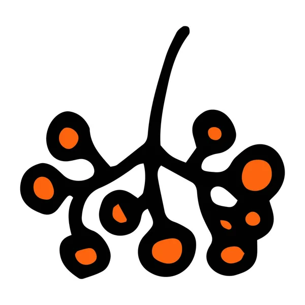 Élément Isolé Vectoriel Baies Dans Bouquet Frêne Montagne Couleur Orange — Image vectorielle
