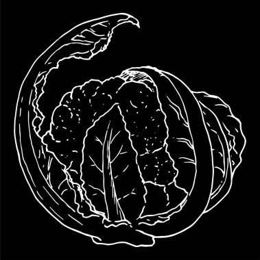 Eskiz tarzında karnabahar vektör çizimi. Siyah arkaplanda beyaz bir çizgi var. Karnabahar ve yapraklar yan görünüm. Etiket tasarımı şablonu için Vegan Gıda 'nın izole edilmiş Contour çizimi
