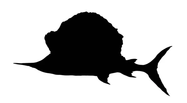 벡터 Marlin-Swordfish 입니다. 배를 타고 있는 바 다 물고기인 이 스티 오포 루스 플라 시프 테 루스의 검은 색 배의 실루엣 이 흰색 배경에 붙어 있는 표지 물 , logo.Sailfish salseahand 의 디자인 템플릿에 사용되었다. — 스톡 벡터