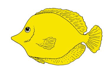 Vektör balığı Zebrasoma sarısı. Robot resim tarzında el çizimi tropik bir balık. Akvaryum balığı, beyaz arka planda siyah zebrasoma çizimi için izole edilmiş bir element. Dekoratif unsur. Çizgi çizimi tarzı. Whit.