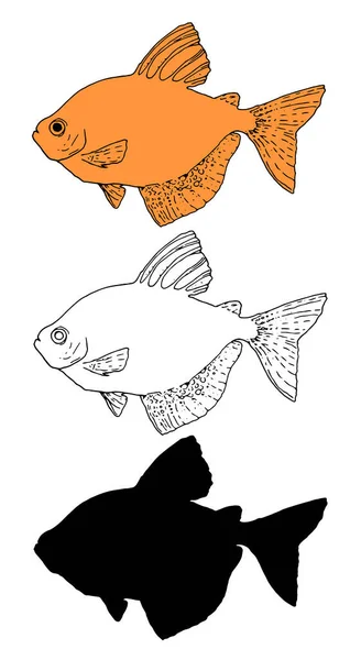 赤を背景に黒水族館魚のスケッチとヴィンテージスケッチイラスト 美しい装飾デザインのためのセット隔離されたセラ テトラ水族館の魚の要素 黒の輪郭とシルエットと白の背景にオレンジの色のベクトルセット 手描き — ストックベクタ
