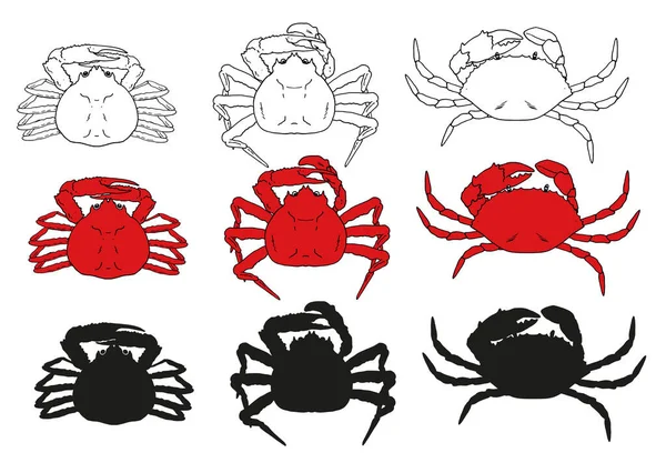 Conjunto Vetorial Caranguejos Vermelhos Uma Coleção Elementos Comida Mar Crabs —  Vetores de Stock