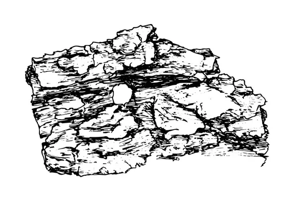 Vectorstructuur van de schors. Handgetekend schetsstuk van oude boomschors, close-up, geïsoleerde zwarte omtrek op een witte achtergrond voor een designsjabloon — Stockvector