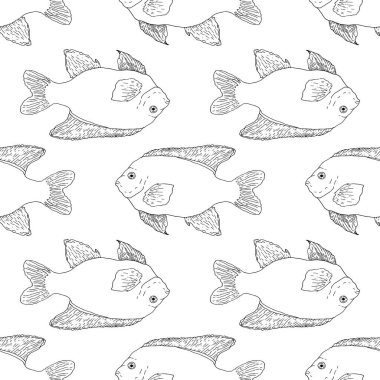 Garibaldi balığının vektör deseni, bir tasarım şablonu için izole edilmiş siyah deniz balığı. Beyaz arka planda farklı yönlere çizilmiş kusursuz balık çizimleri. Güzel portakal balığı eskizi Garibaldi, her amaç için harika tasarım.