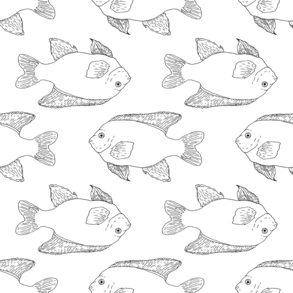 Patrón Vectorial Peces Garibaldi Peces Marinos Aislados Contorno Negro Para — Vector de stock