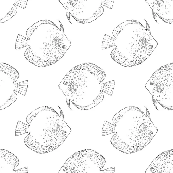 Patrón Inconsútil Los Peces Discus Patrón Vectorial Pez Mar Dibujado — Vector de stock