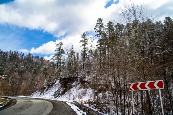 Kışın Rus Ormanı
