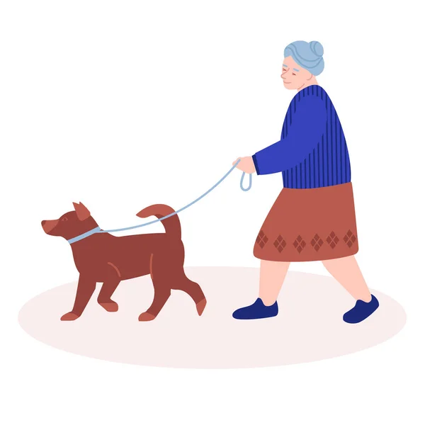 Uma mulher idosa passeia o cão. Ilustração vetorial em estilo plano. Isolado em branco. — Vetor de Stock